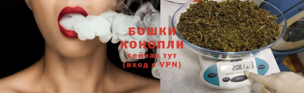 бошки Богданович